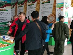 吉農高新銷售大廳購種火爆